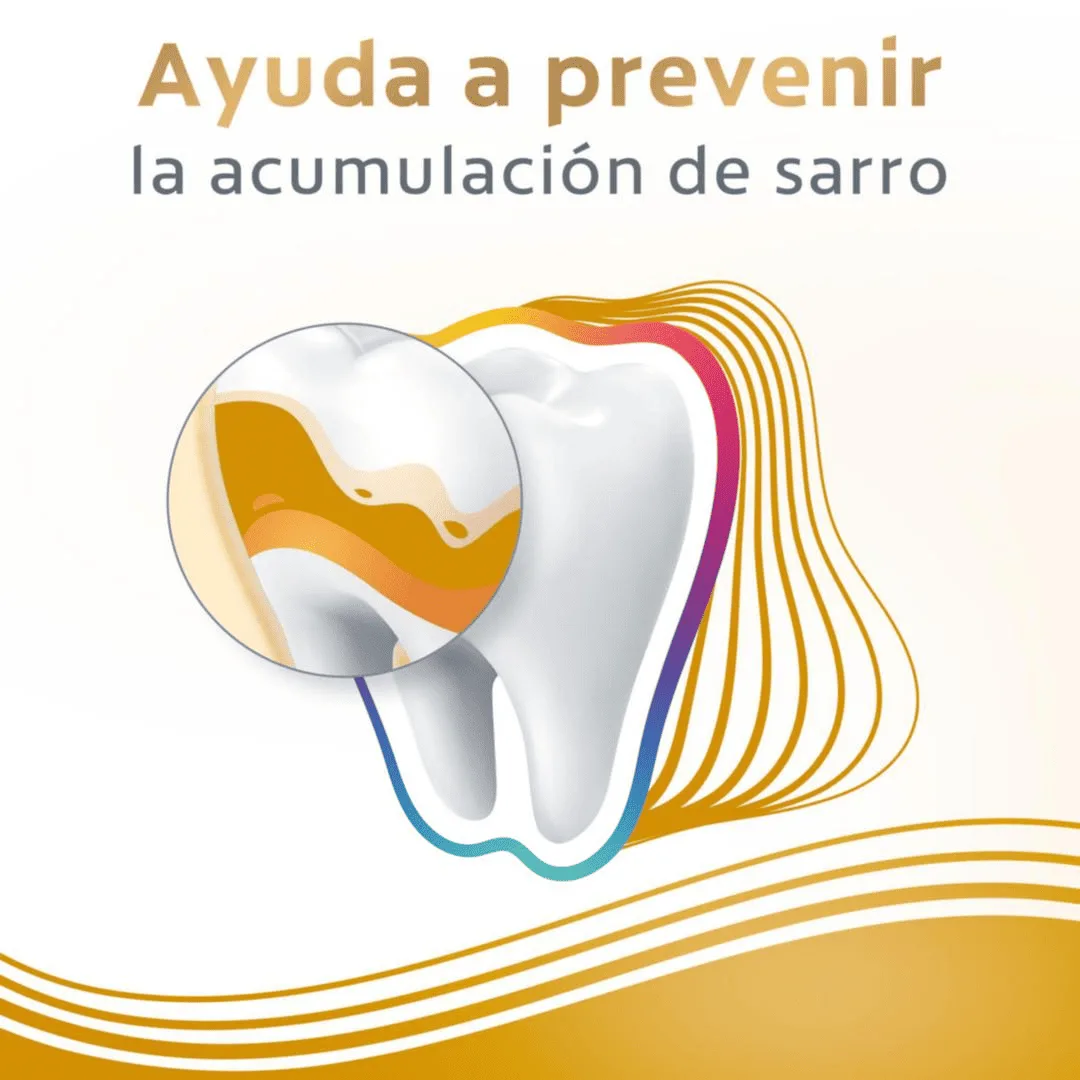 https://emotionstorage.devinmotion.net/emotion/cangu/images/products/mobile/COVA-000037102_2508221730404724936.webp