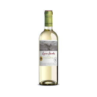 Vino Blanco Agua Santa Sauvignon Blanc Classic x750ml