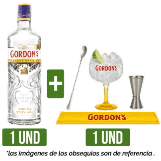 Ginebra Gordon´s Dry Gin 700ml + Insumos Coctelería