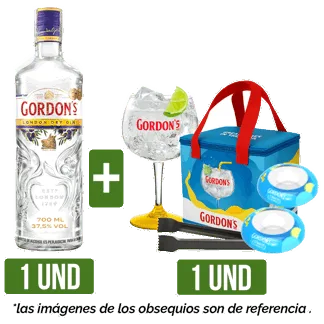 Kit Gordon's - Set Playero  2.0