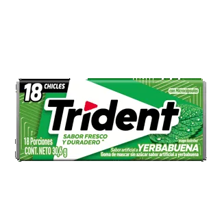 Goma De Mascar Trident Yerbabuena Evup  x30.6gr
