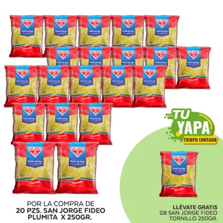 San Jorge Fideo Plumita x 250g. (20 unidades) - GRATIS: 08 San Jorge Fideo Tornillo x 250g.