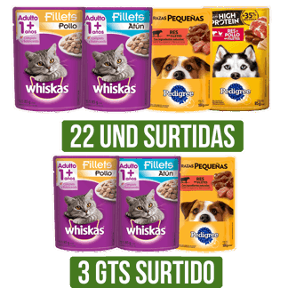 22Un AlimentoHumedoSurtido(Whiskasx85gr/Pedigreex100gr) Gts 3Un AlimentoHumedoSurtido UNI