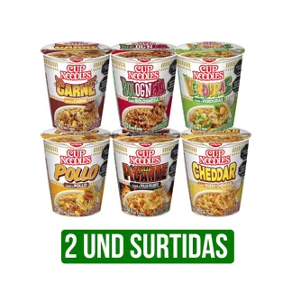 2 Und Nissin Cup Noodles Surtido