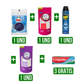 Insect. Raid x280 + Amb. Lavanda + Amb. Frutos Rojos + Pato Tanque GTS 3und Crema Colgate Tr. Accion